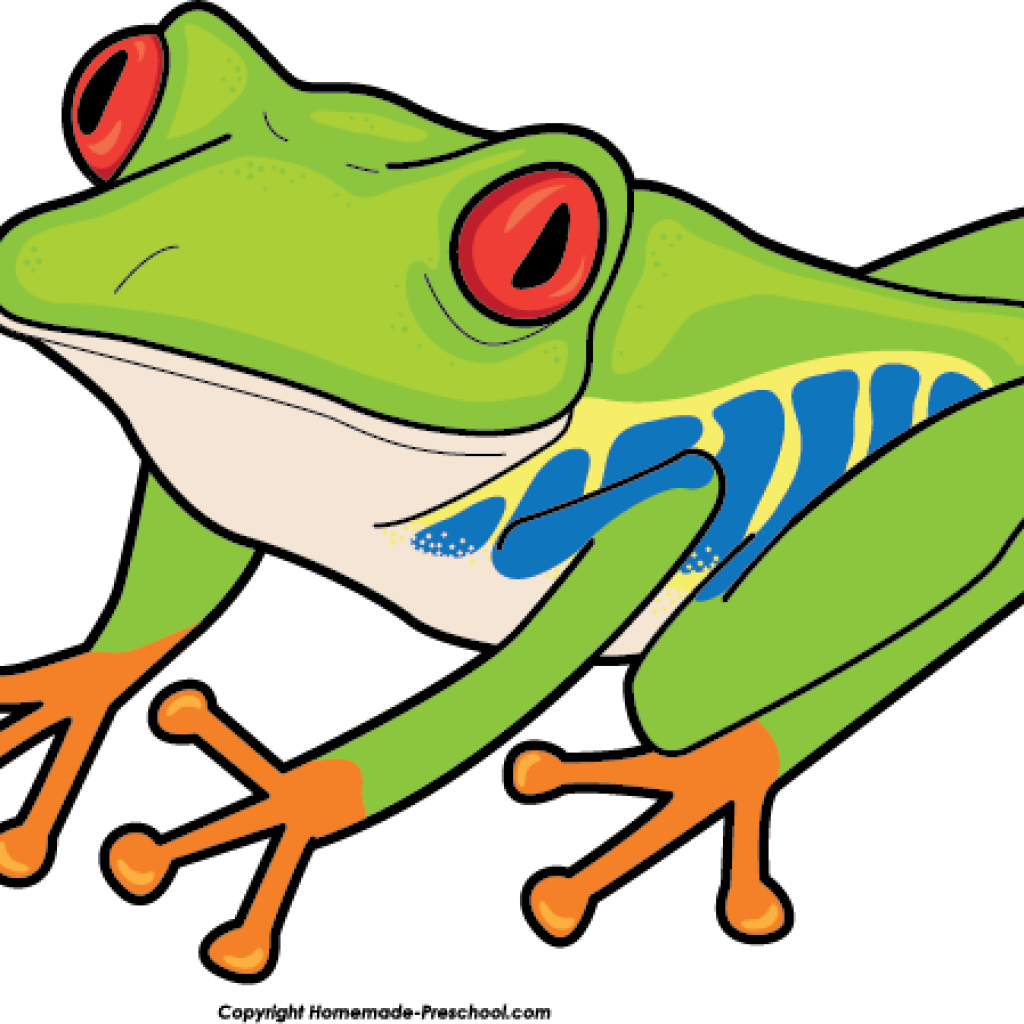 Free Frog Clipart Free Frog Clipart Ready For Personal - Clip Art (1024x1024)