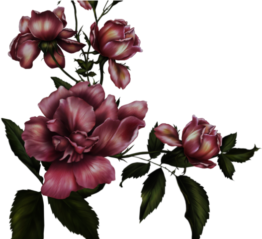 Gothc Clipart Transparent - Transparent Background Gothic Roses (640x480)