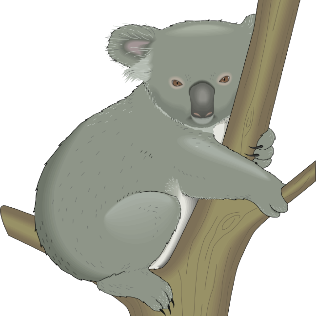Koala Clipart Koala Clipart Graphics Of Koalas Clipart - Koala In Tree Clipart (1024x1024)