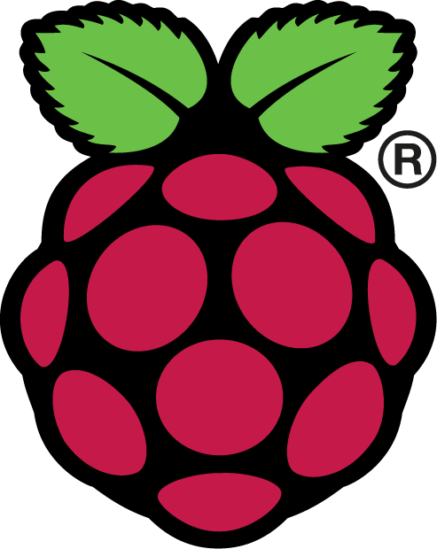 We Will Refer To This As The “raspberry Pi Logo” - Raspberry Pi Logo (493x620)