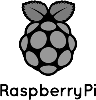 Rasberry Pi Logo Custom Bw - Raspberry Pi Python Logo (364x363)
