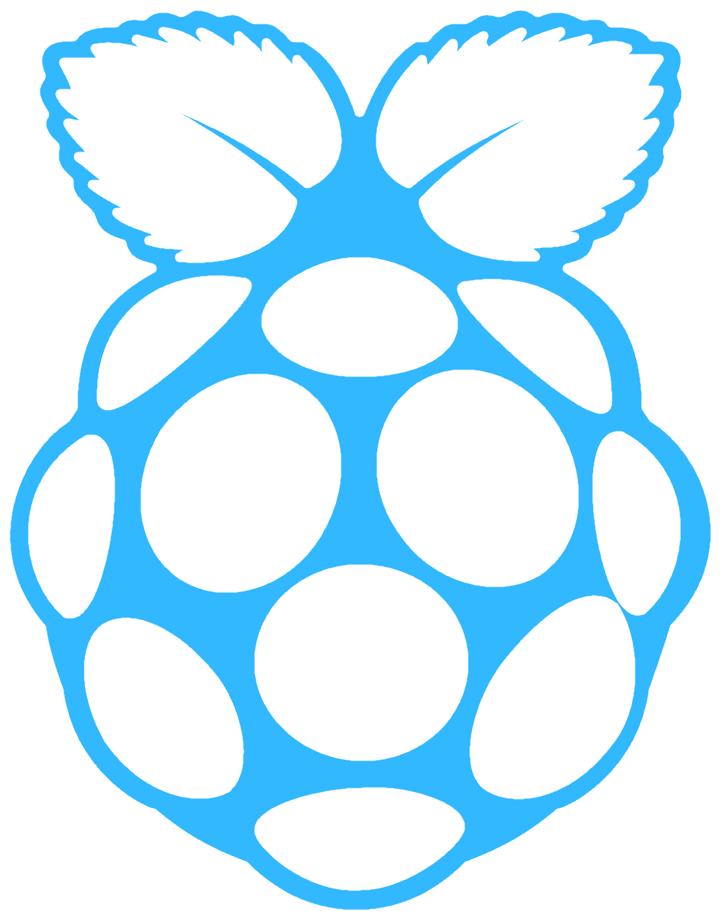 Raspberry Pi - Raspberry Pi (1600x1600)