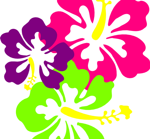 Hawaiian Flower Clipart Template - Costa Rica Postal Cards (481x445)