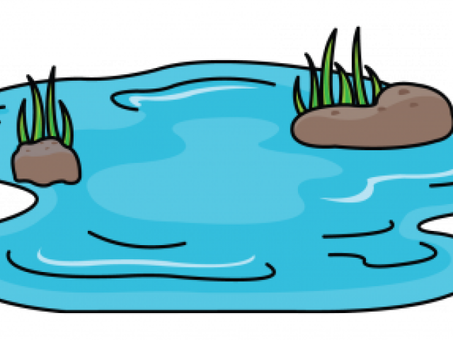 Drawn Pond Transparent - Pond Drawing (640x480)