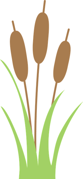 Sapos - Minus - Cute Frog Clip Art (286x620)