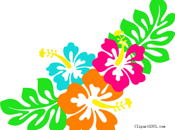 Hibiscus Hawaiian Flower Clipart - Hawaiian Hibiscus (597x445)