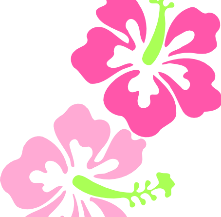 Hawaiian Flower Hibiscus Clipart - Costa Rica Postal Cards (454x445)