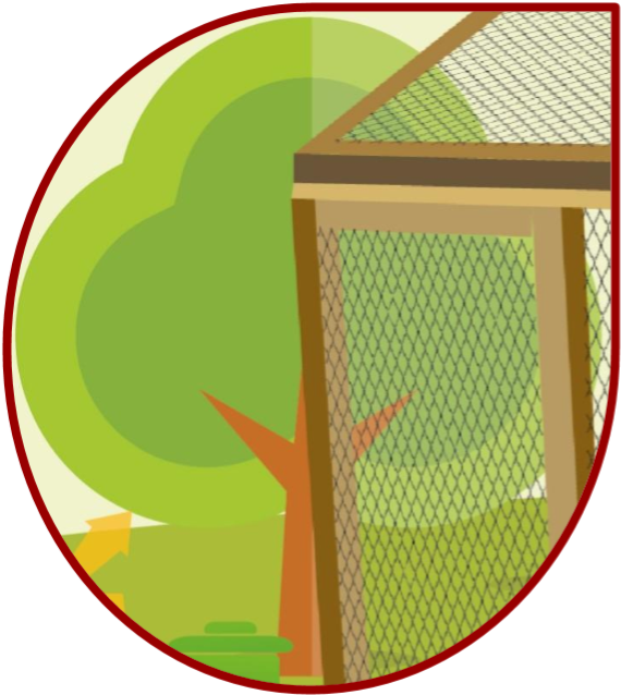 The Chicken Run - Protectasleeve Protective Sleeve Plastic Netting (610x670)