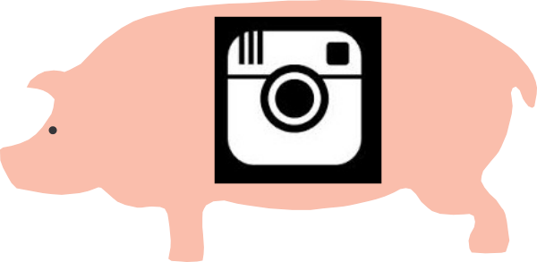 Pig3 - Love Instagram Embroidered Snapback Hat (600x293)