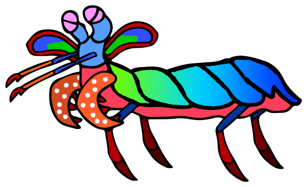 Picture Free Mantis Cartoon Desktop Backgrounds - Mantis Shrimp Transparent Background (1500x844)