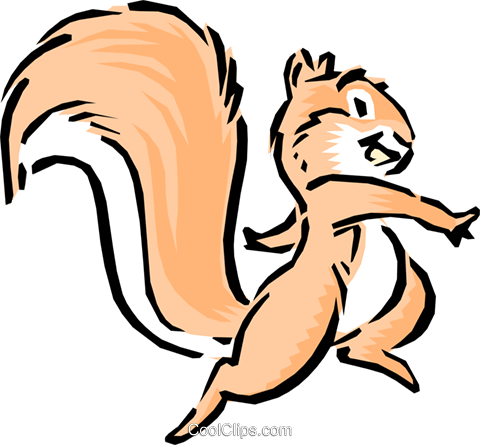 Cartoon Squirrel - Cartoon Squirrel (480x445)