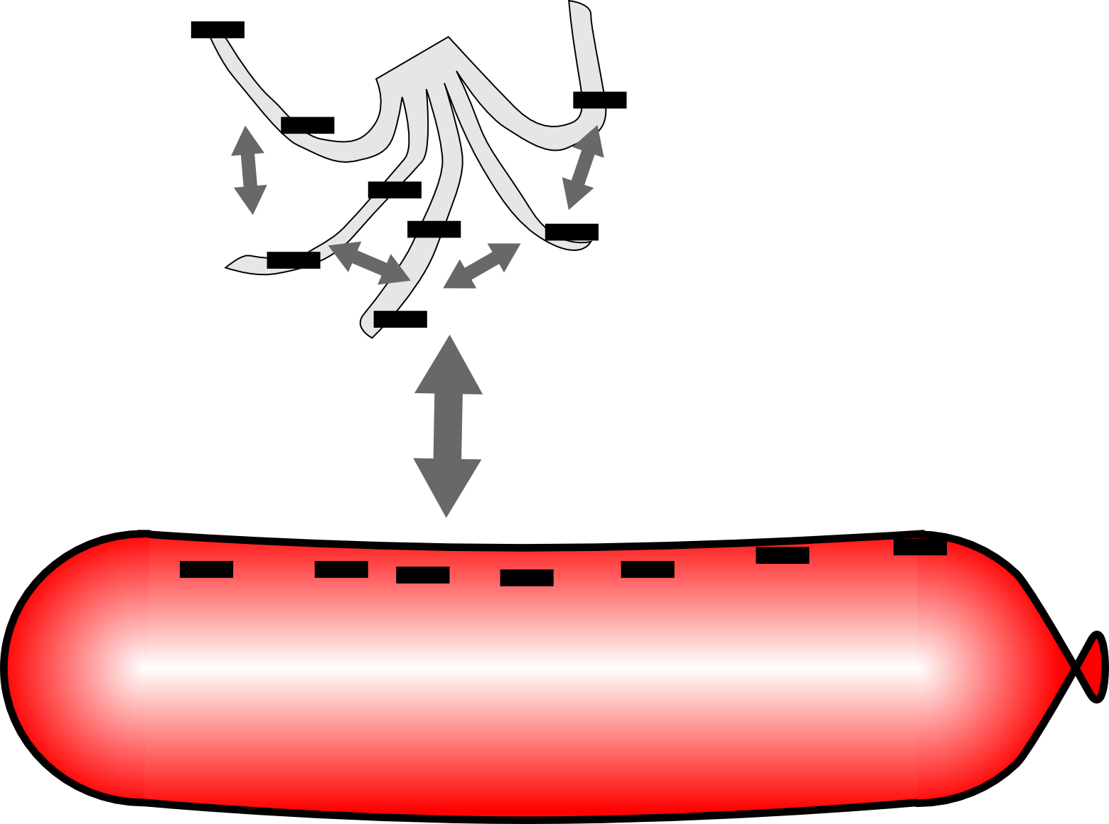 The Negative Charges On The Balloon And The Plastic - Plastic (1560x1159)
