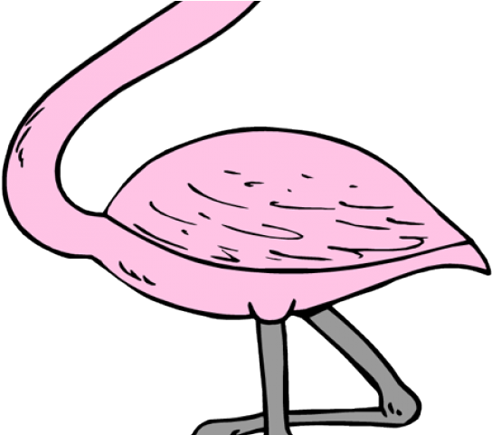 Flamingo Clipart Plastic Flamingo - Flamingos Cliparts (640x480)