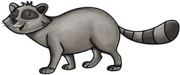 Hog Nosed Skunk (420x420)