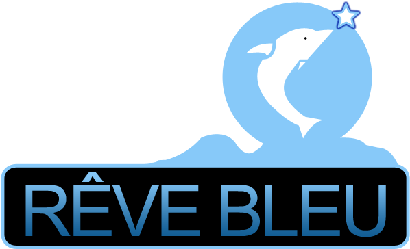 Constructeur Piscine, La Teste De Buch, Arcachon, Cap - Reve Bleu Piscine (600x377)