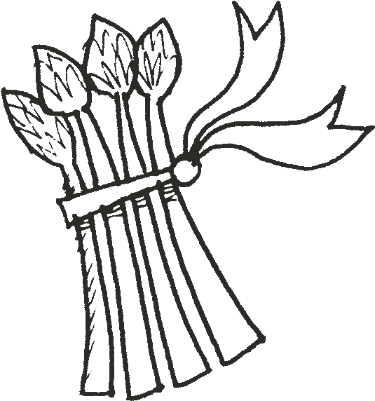 New Celebrity Wallpapers - Asparagus Drawing Easy (549x585)