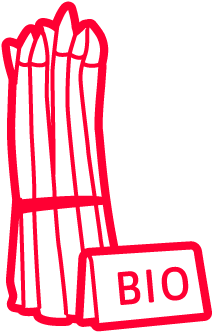 Organic Asparagus - Garden Asparagus (536x408)