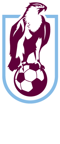 Zone Technical Director Hunter Valley Football - Hunter Valley Hawks Soccer (500x500)