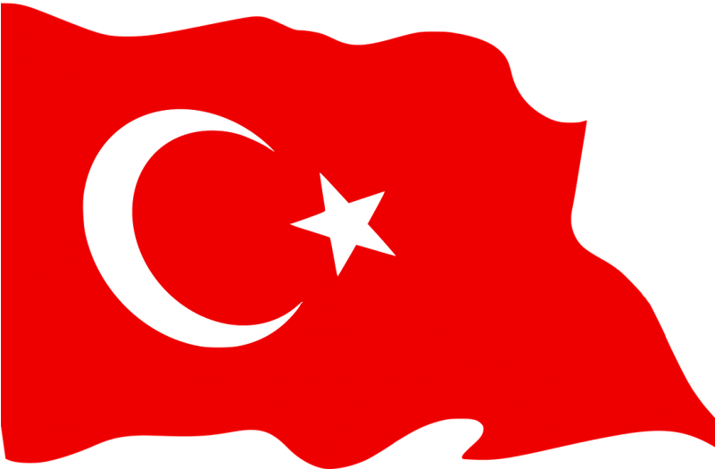Director Reşat Kasaba Speaks With King 5 News - Turkish Flag Clipart Png (800x534)
