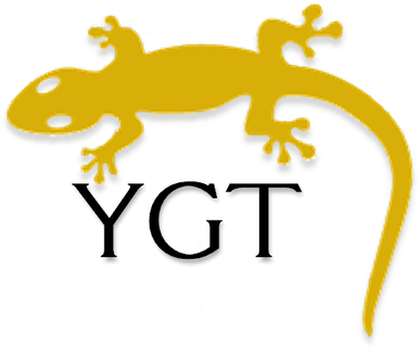 Futures, Forex, Stocks Trading Software - Gecko (400x400)