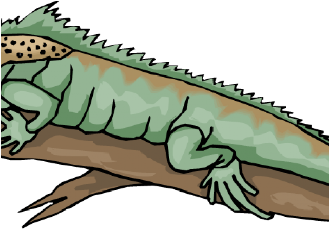 Gecko Clipart Yellow Spotted Lizard - Rainforest Iguana (640x480)