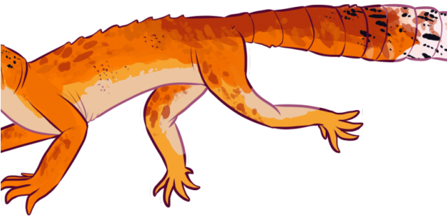 Gecko Clipart Yellow Spotted Lizard - Leopard (640x480)
