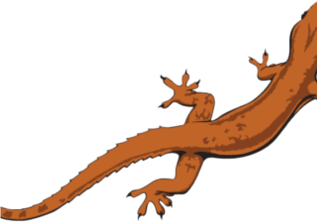 Gecko Clipart Transparent Background - Transparent Background Lizard Png (640x480)
