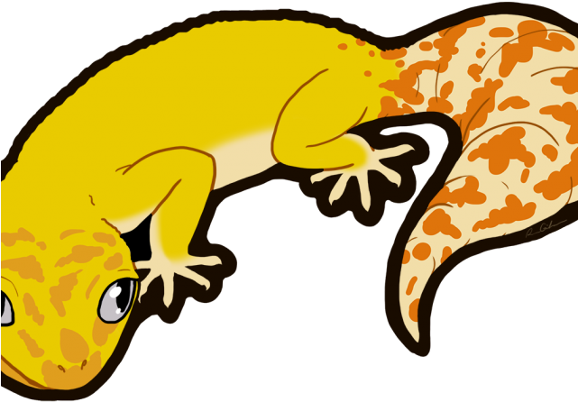 Leopard Gecko Clipart Transparent Background - Leopard Gecko Clipart (640x480)