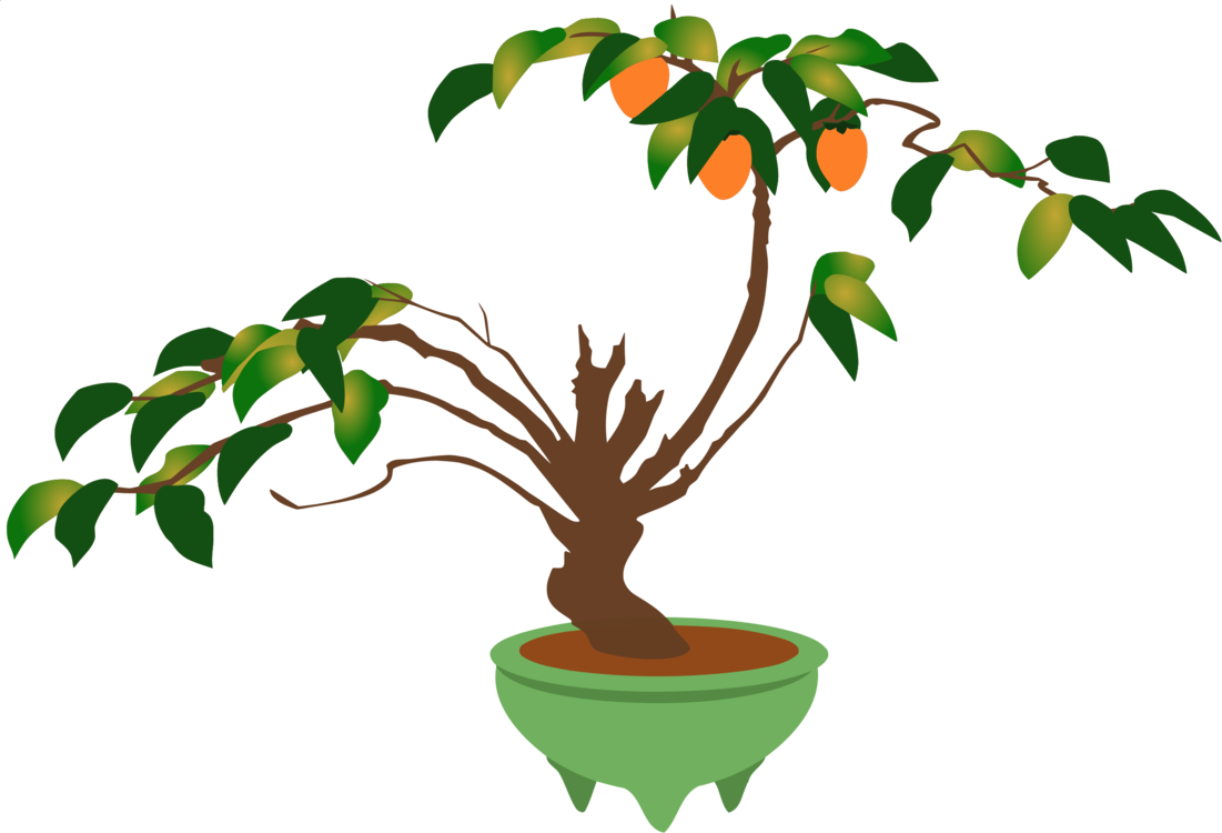 Branch Bonsai Flowerpot Ornamental Plant Houseplant - Tree Pot Clipart (1101x750)