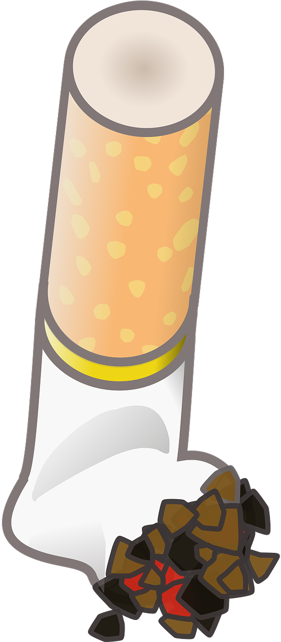 Cigarette End Cigarette Smoking - Zigarettenstummel Png (1280x1280)