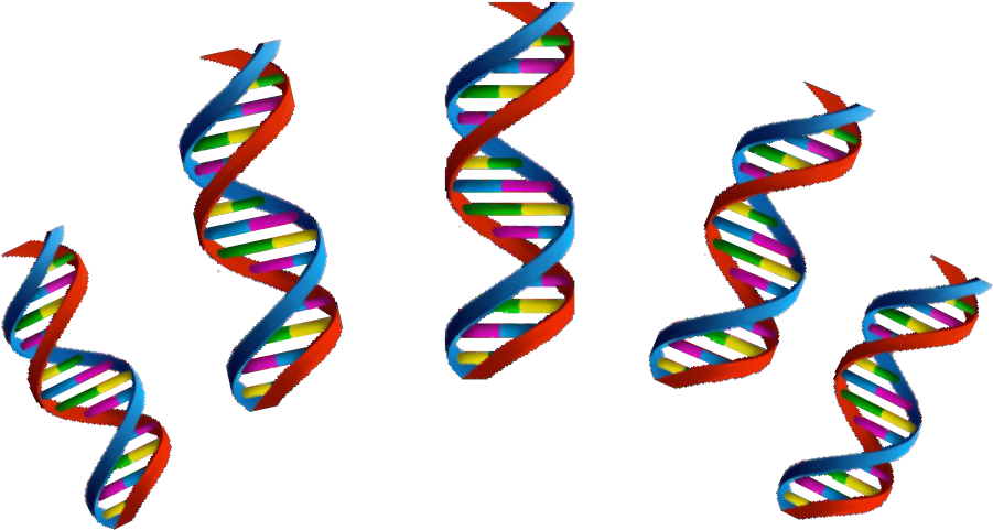 Next Week, Our Phd Students, Alexandra Gaál Kovalčíková - Dna (989x504)