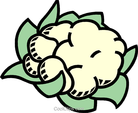 Cauliflower Royalty Free Vector Clip Art Illustration - Draw A Cauliflower Step By Step (480x395)