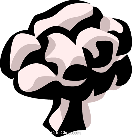Cauliflower Royalty Free Vector Clip Art Illustration - Illustration (462x480)