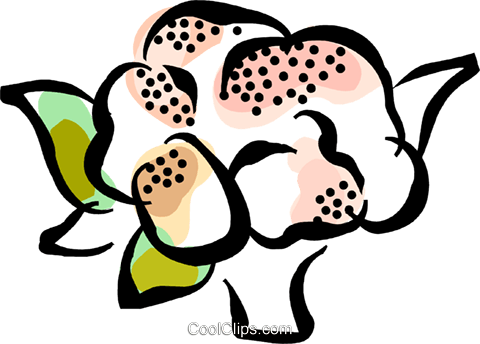 Cauliflower Royalty Free Vector Clip Art Illustration - Ice Cream Float Clip Art (480x344)
