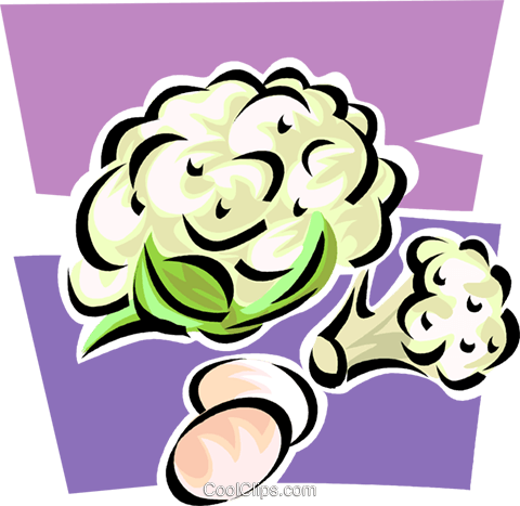 Cauliflower Royalty Free Vector Clip Art Illustration - Cauliflower Royalty Free Vector Clip Art Illustration (480x467)