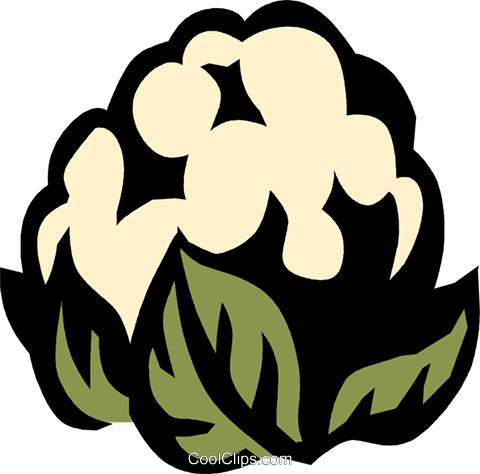 Cauliflower Royalty Free Vector Clip Art Illustration - Sodium (480x474)