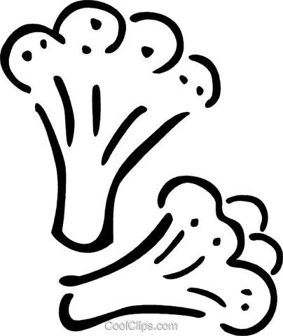 Cauliflower Royalty Free Vector Clip Art Illustration - Cauliflower Royalty Free Vector Clip Art Illustration (404x480)