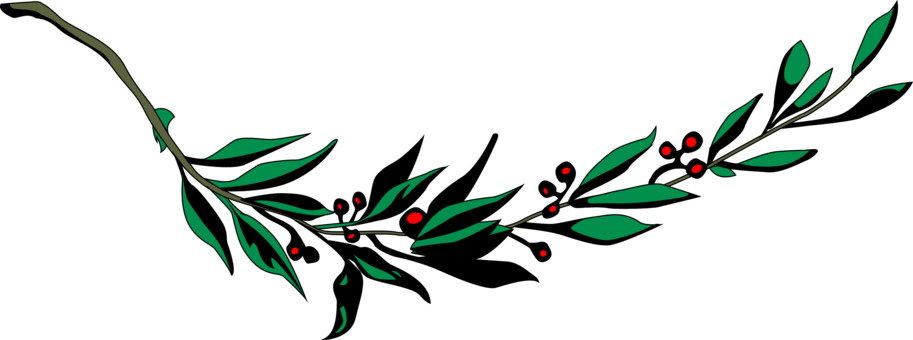 Laurel Wreath Bay Laurel Branch Computer Icons Leaf - Laurel Branch Png (913x340)