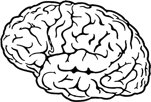 Image Free Brainwashedpictures - Lobulo Temporal Giro Angular (512x512)