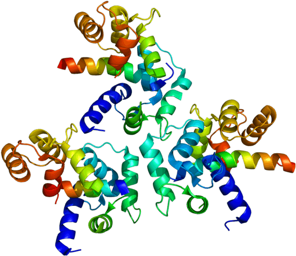 Water Conservation Free Clipart - Human Voltage Dependent L Type Calcium Channel Subunit (614x535)