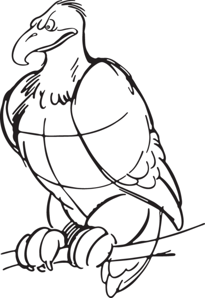 Vulture Eps Vector, Vector Clipart, Multiple Images, - Line Art (414x600)