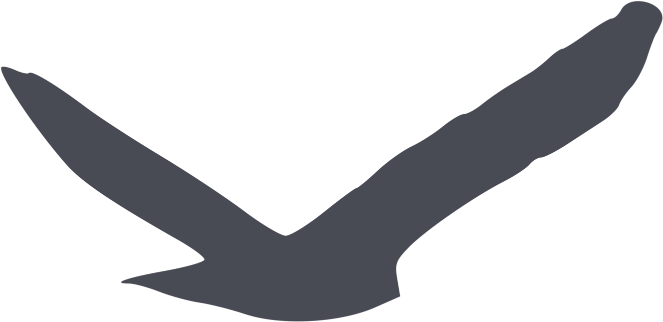 Bird Of Prey Silhouette Gulls Beak - Clipart Bird Silhouette (1500x750)