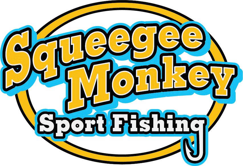 Squeegee Monkey - Squeegee Monkey (853x585)