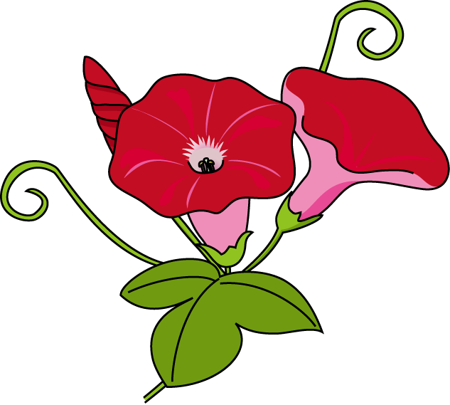 Flower - Flower (633x569)