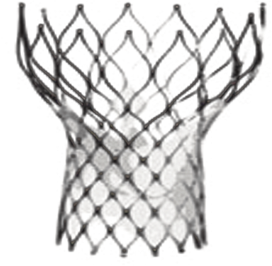 Tavi Report Plugin - Percutaneous Aortic Valve Replacement (400x400)