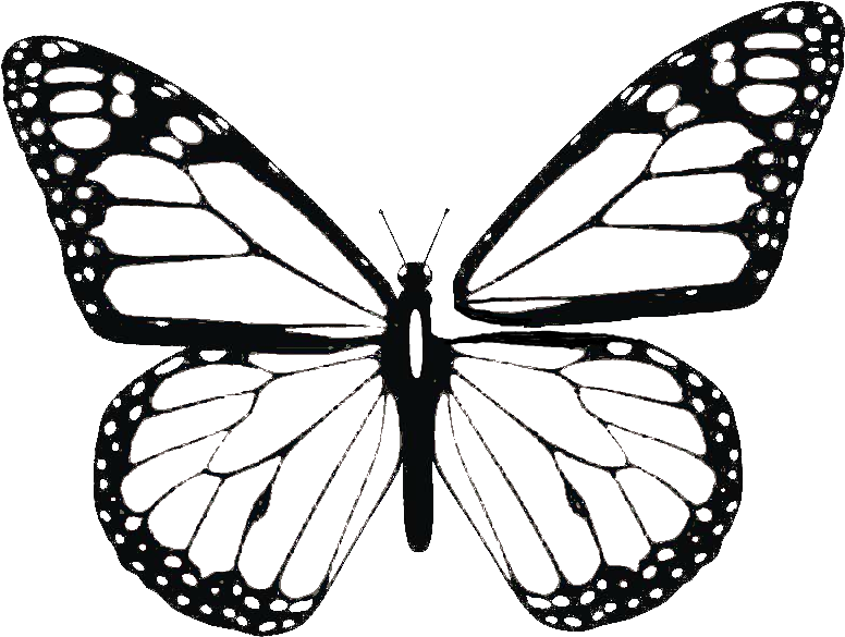 Images Laptop, Ultra Full, Butterfly Pattern - Printable Monarch Butterfly Coloring Pages (800x603)