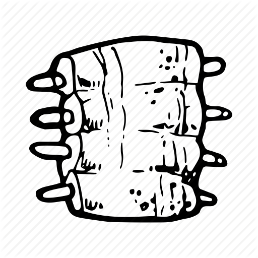 Download Ribs Clipart Barbecue Spare Ribs Hamburger - Ribs Food Coloring Page (512x512)