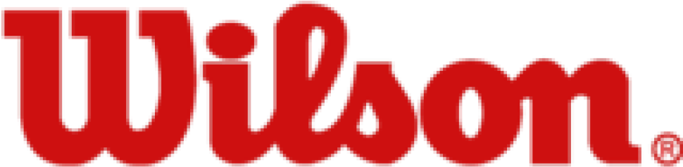 Green Bay Packers Embroidered Name Graphic Football - Wilson Sporting Goods (1000x259)