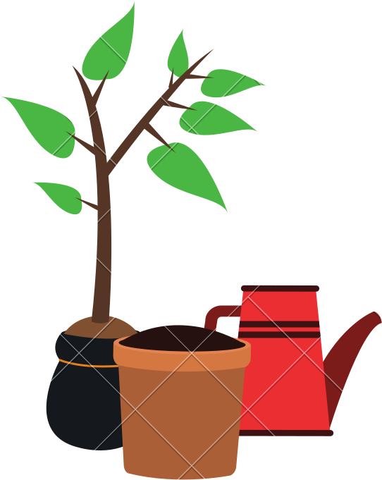 Plant With Pot And Water Can - Can Stock Photo (800x800)