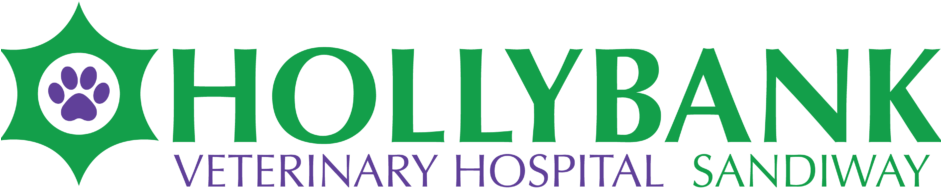 Skip To Content - Halk Bankası Logo Png (940x198)